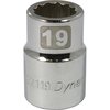 Dynamic Tools 3/4" Drive 12 Point Metric, 19mm Standard Length, Chrome Socket D022119